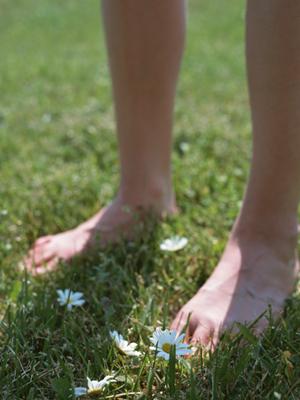 フコキサンチンにこだわりの高純度
